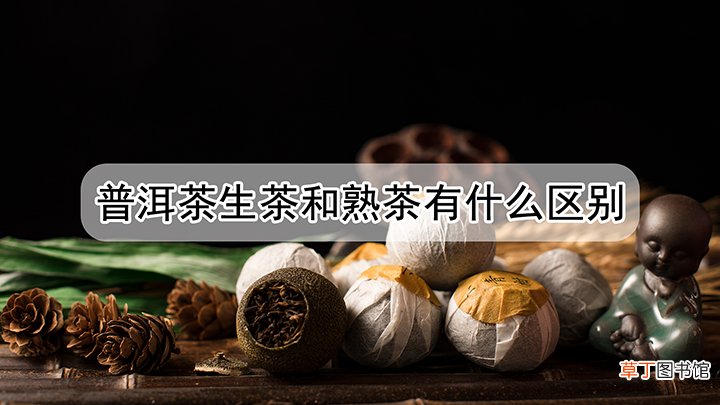 普洱茶生茶和熟茶有什么区别