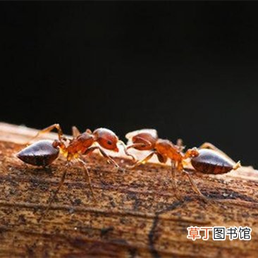 千里之堤下一句是什么？