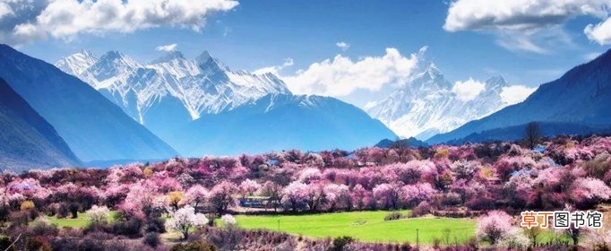 有哪些描写春天景色的一段话？