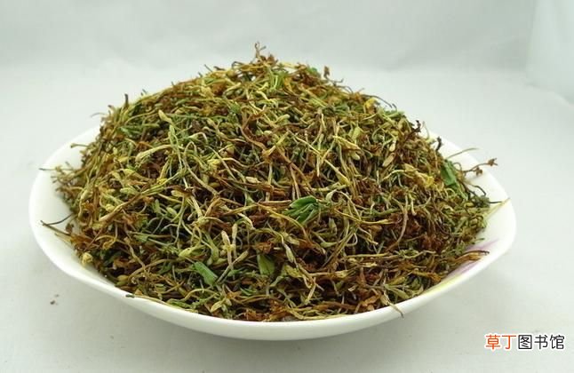金银花泡水喝的功效有哪些害处 金银花茶的功效与作用)