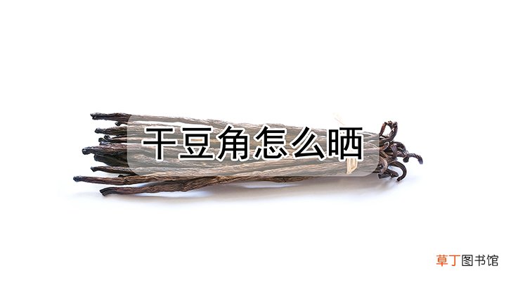 干豆角怎么晒