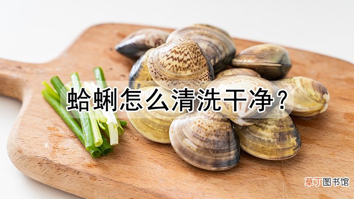 蛤蜊怎么清洗干净