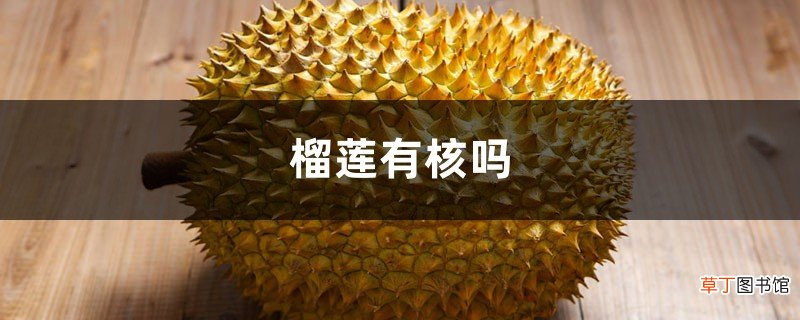 榴莲有核吗