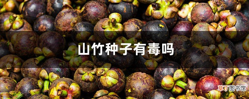 山竹种子有毒吗