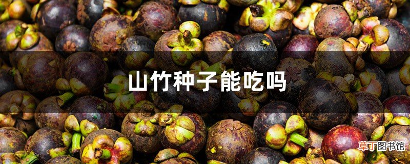 山竹种子能吃吗
