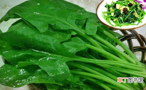 贫血如何补血 补铁常见的6个误区