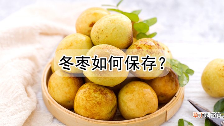 冬枣如何保存