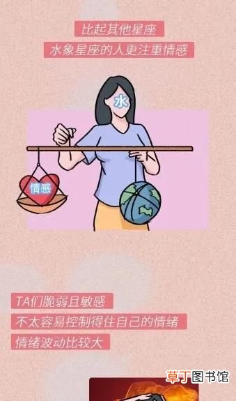 火象星座有哪些 水象星座有哪些)
