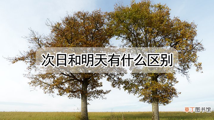 次日和明天有什么区别