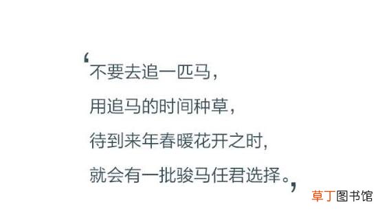 用追马的时间去种草