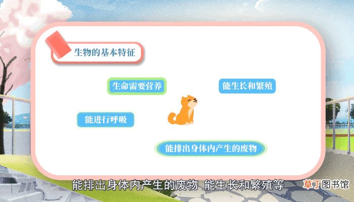 生物的基本特征是什么 什么是生物的基本特征