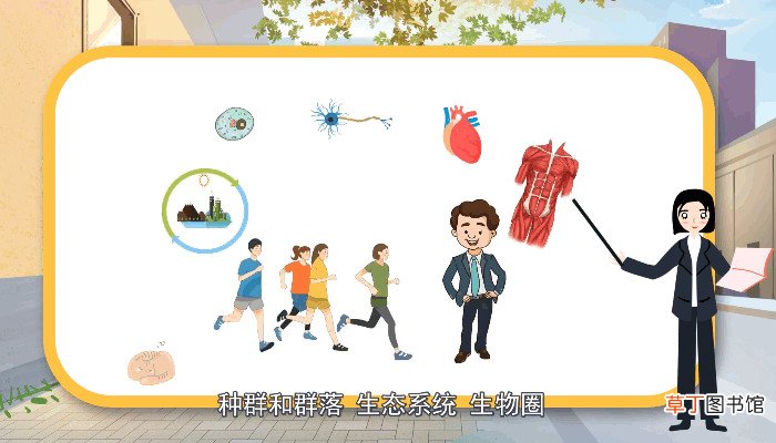 生命系统的结构层次 生命系统的结构类别