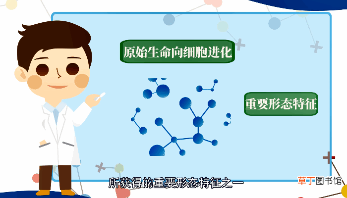 细胞膜的功能是什么 细胞膜的功能有哪些