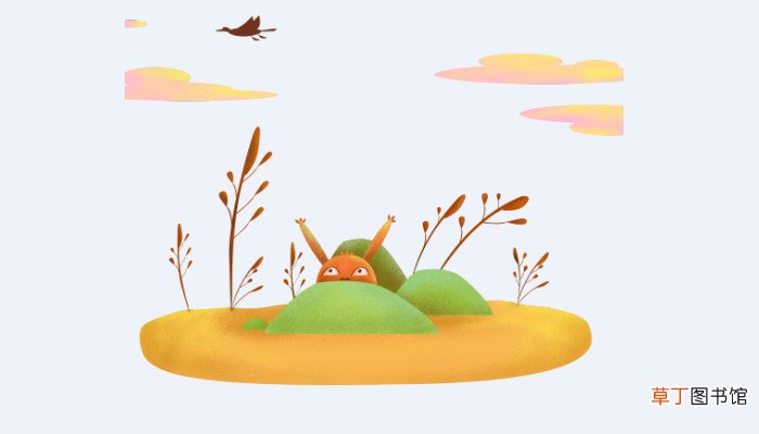 生物的基本特征是什么 生物有什么基本特征