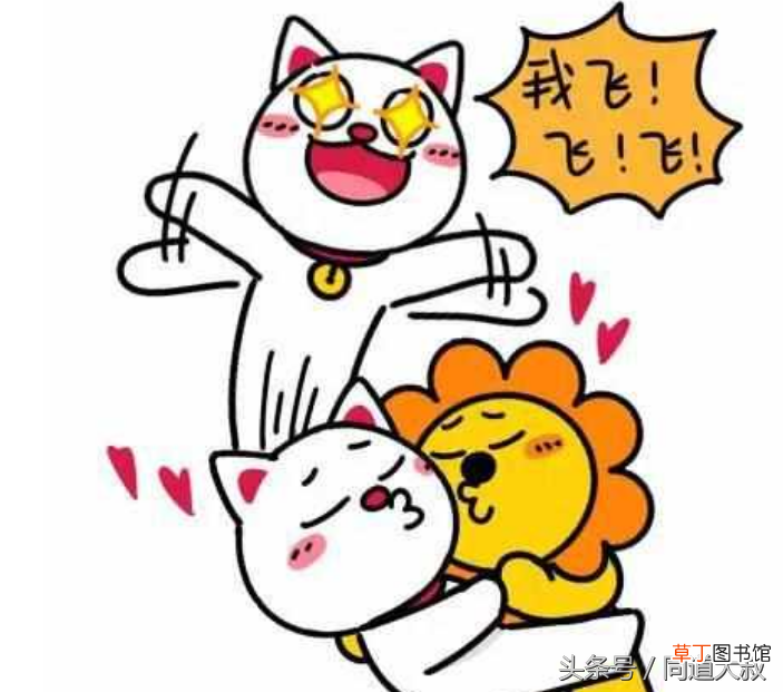 狮子座和哪些星座最合适 狮子座和什么座最配)