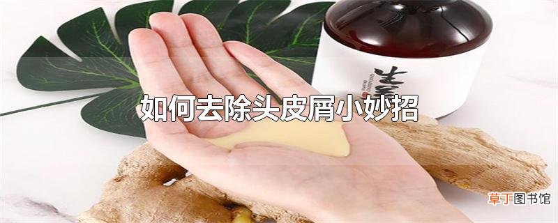 怎么去除头皮屑小妙招