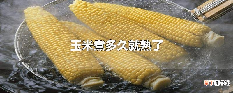 玉米煮多久就熟了