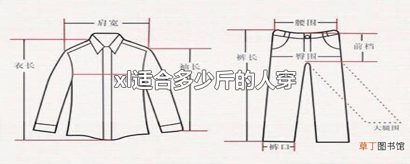 xl适合多少斤的人穿