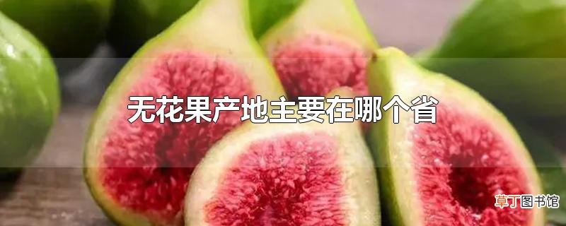 无花果产地主要在哪个省