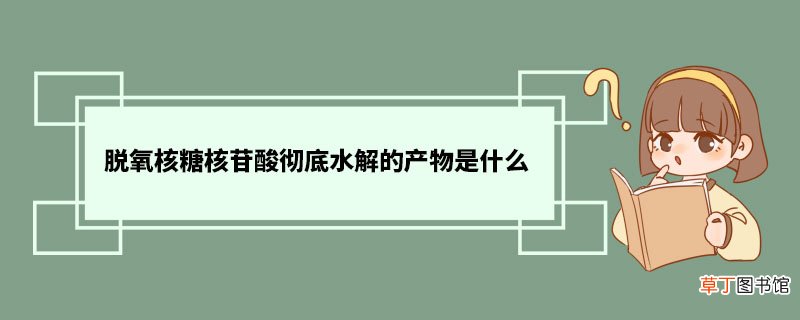 脱氧核糖核苷酸彻底水解的产物是什么 脱氧核糖核苷酸功能