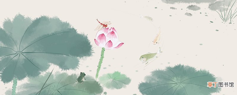 小池描写的是哪个季节 小池描写的是哪个季节的景象