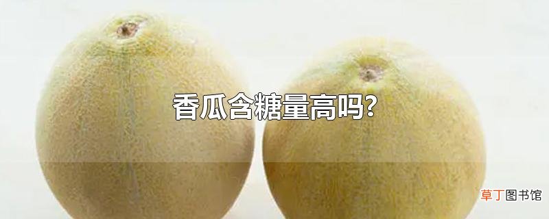 香瓜含糖量高吗?