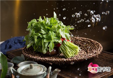 贫血的人吃什么补血最快