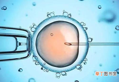 提高试管着床的方法-怎么才能提高试管着床