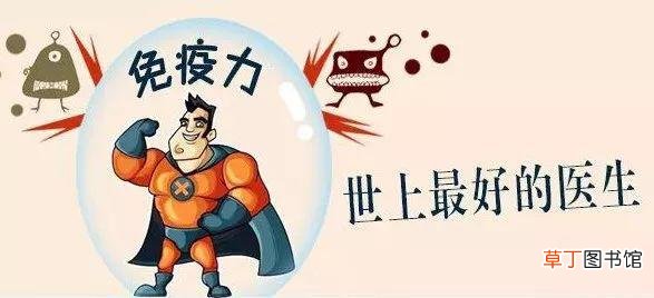 提高免疫力最有效办法-哪些方法可以提高免疫力