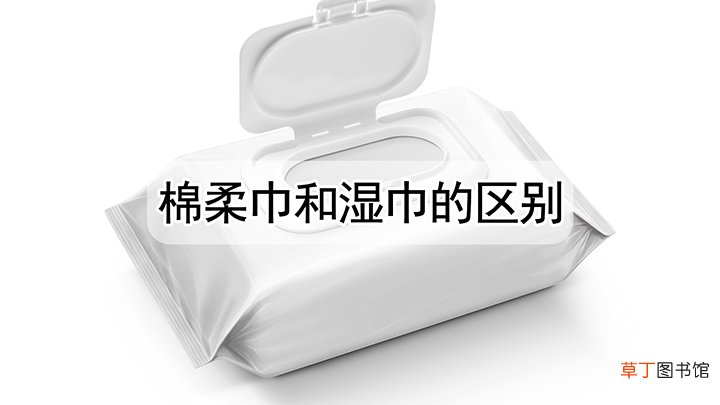棉柔巾和湿巾的区别