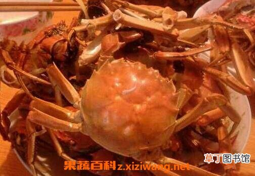 吃螃蟹的禁忌与注意事项