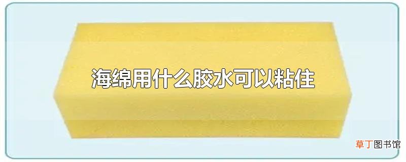海绵用什么胶水可以粘住