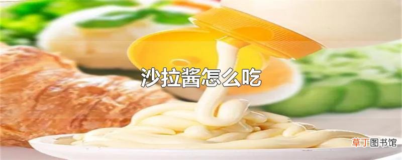 沙拉酱怎么吃
