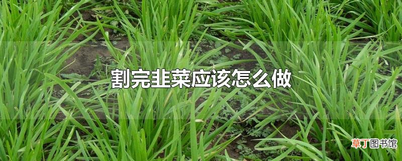 割完韭菜应该怎么做