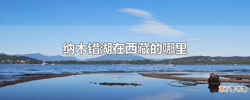 纳木错湖在西藏的哪里