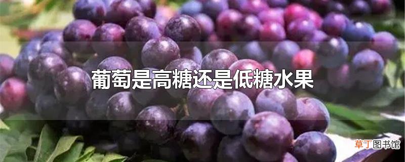 葡萄是高糖还是低糖水果