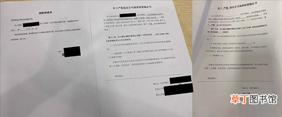 招新困难，编程猫裁员缩减团队？
