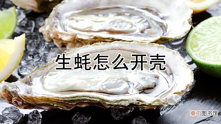 生蚝怎么开壳
