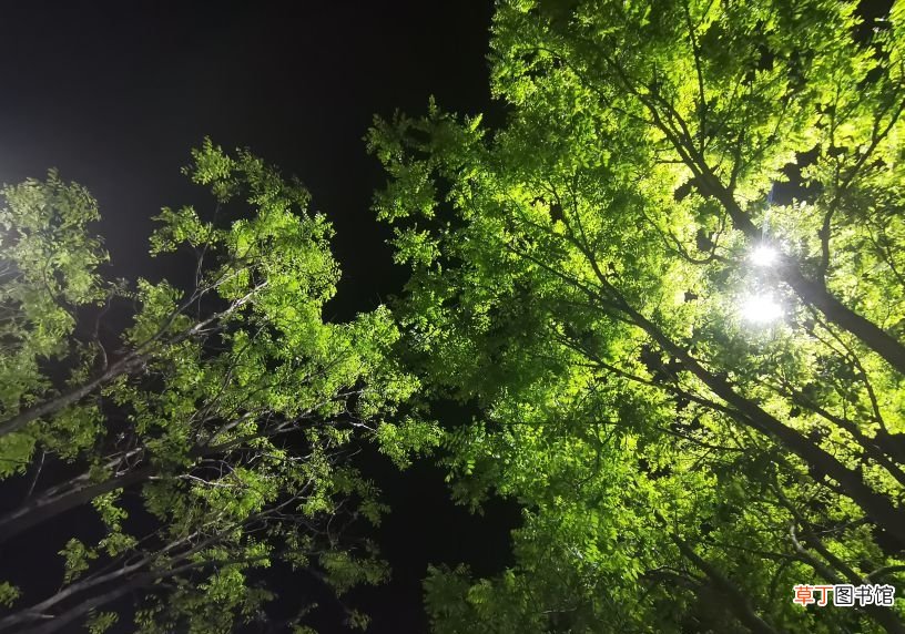 婚姻是爱情的坟墓哲学原理 为什么说婚姻是爱情的坟墓