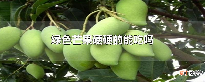 绿色芒果硬硬的能吃吗