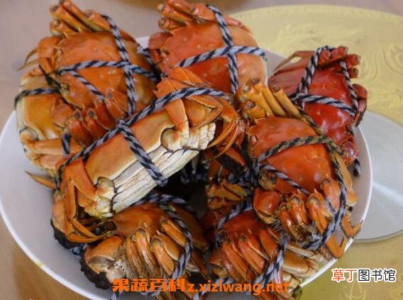 太湖蟹的功效与作用 太湖蟹的营养价值