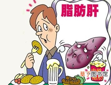 饭后喝茶不当易致脂肪肝