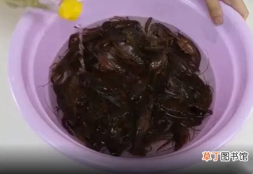 猪食论：字节跳动公布遭遇腾讯屏蔽封禁大事记