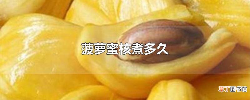菠萝蜜核煮多久