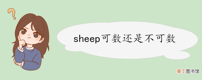 sheep可数还是不可数 sheep的短语举例