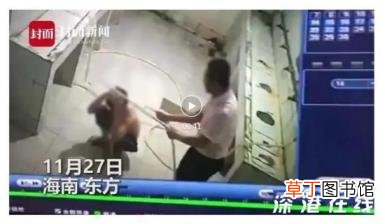 海南体罚学生副校长被行拘 具体是什么情况？