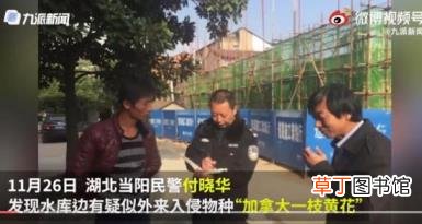 格力申请董明珠秘书孟羽童商标 这是怎么回事?