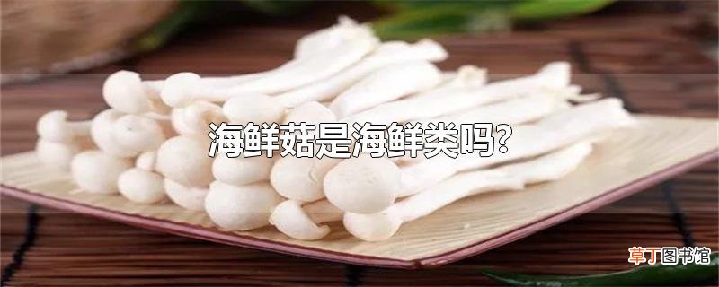 海鲜菇是海鲜类吗?