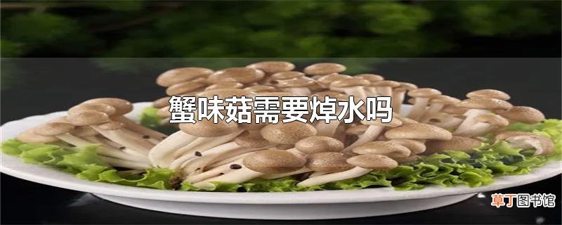 蟹味菇需要焯水吗