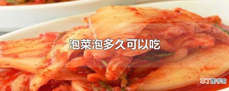 泡菜泡多久可以吃